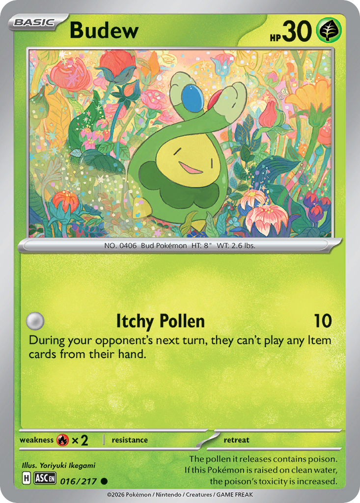 Budew — Ascended Heroes 16
