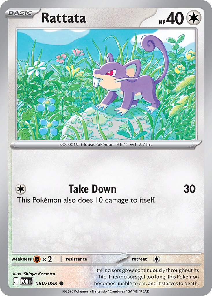 Rattata — Perfect Order 60