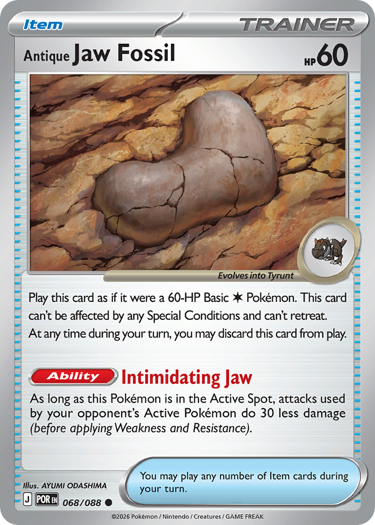 Antique Jaw Fossil — Perfect Order 68